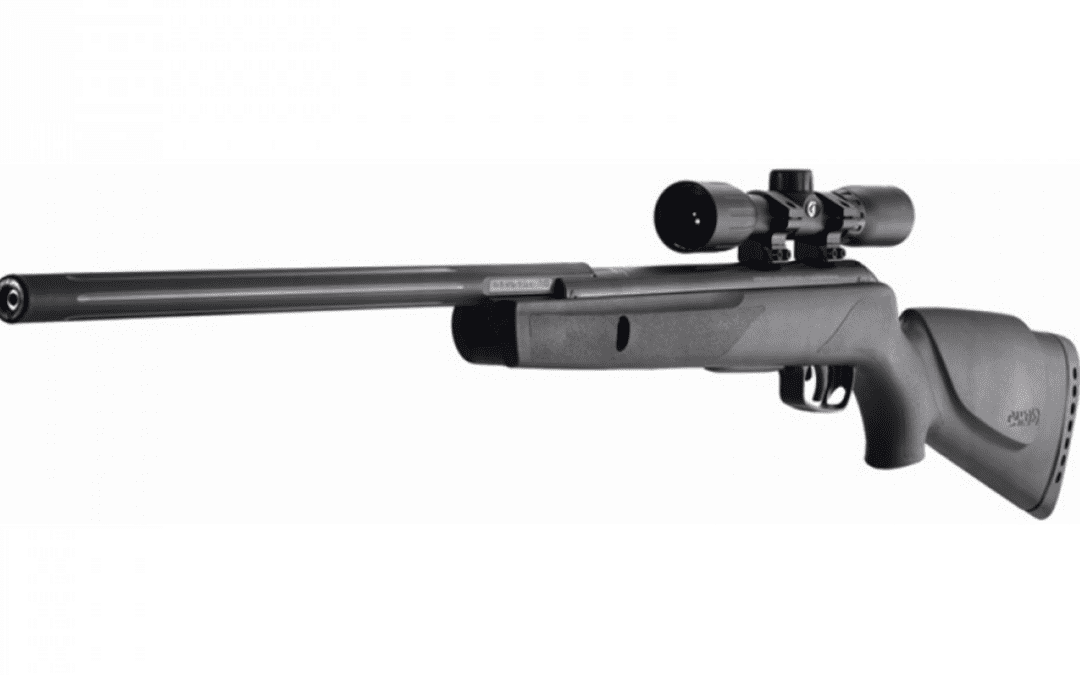 Gamo Big Cat Turbo Avis : Mon Test Complet d’une Carabine à Plombs Performante