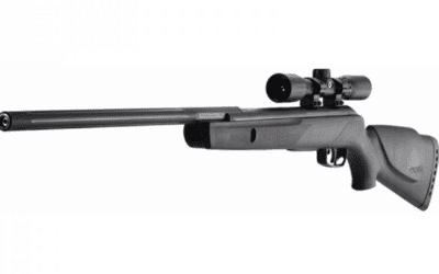Gamo Big Cat Turbo Avis : Mon Test Complet d’une Carabine à Plombs Performante