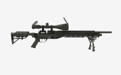 Avis carabine PCP Crosman Benjamin Armada : une référence pour le tir de précision