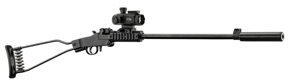 Carabine 22lr chiappa little badger avis​ : mon test