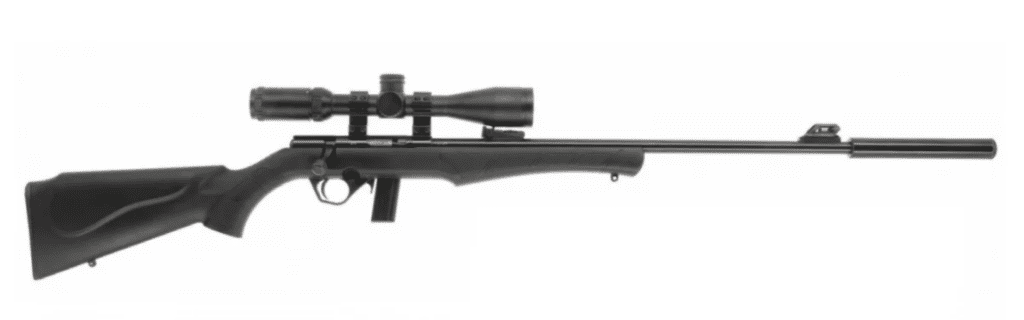 Carabine Rossi 22lr avis : mon test personnel