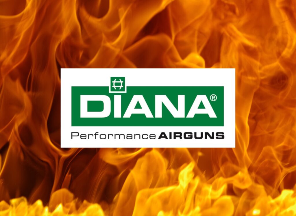 Carabine à plomb Diana : quelle est la plus puissante ?