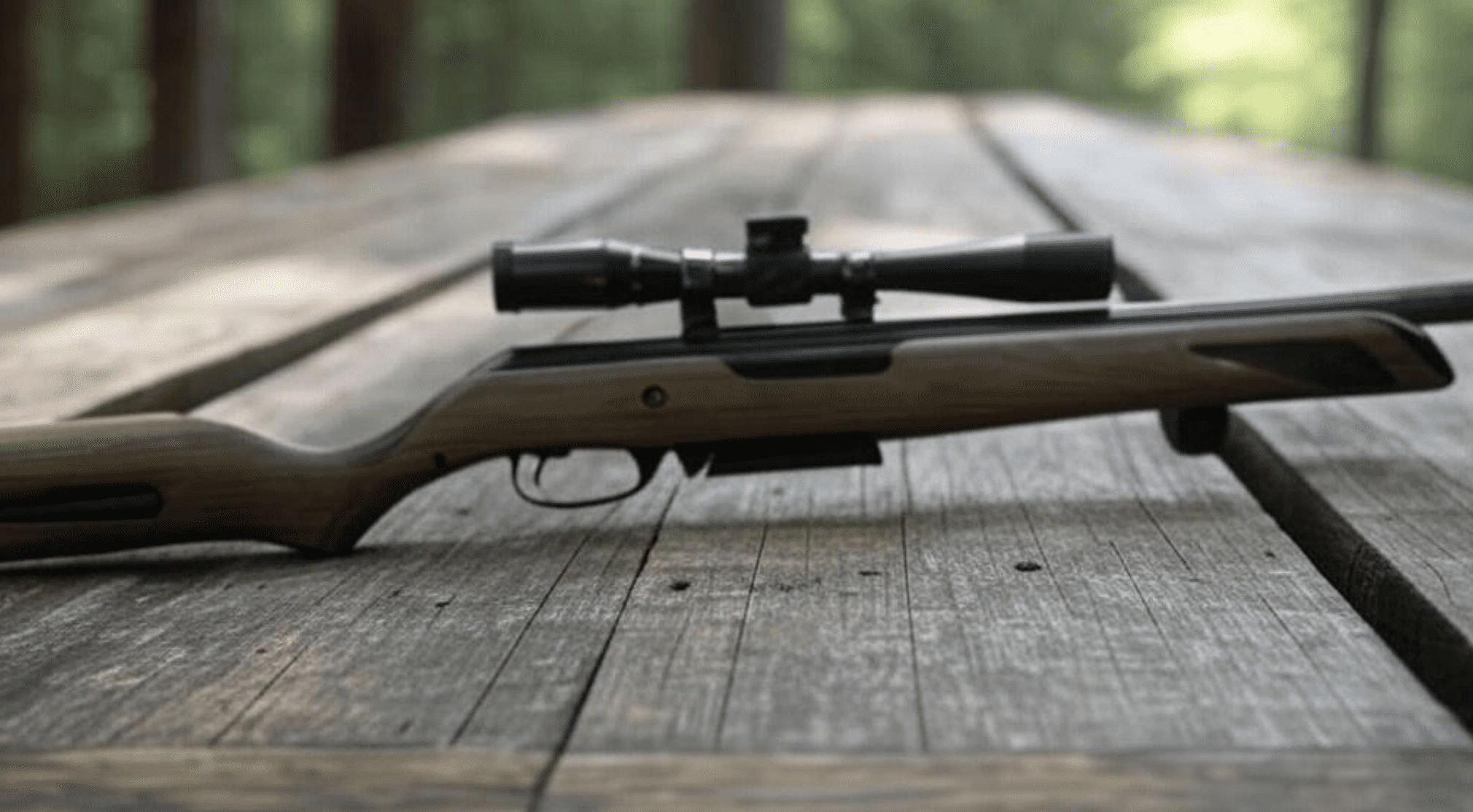 carabine pcp c’est quoi carabine pcp c'est quoi