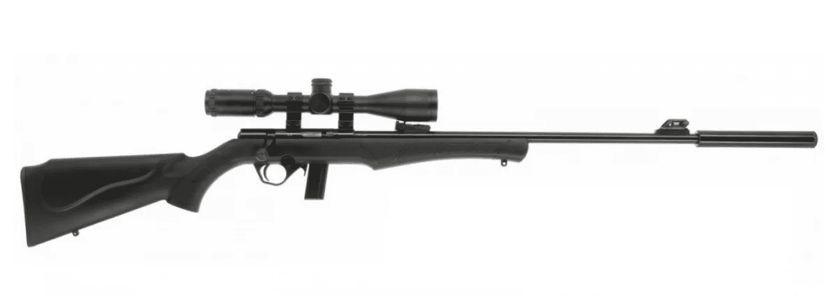 Carabine Rossi 22lr avis