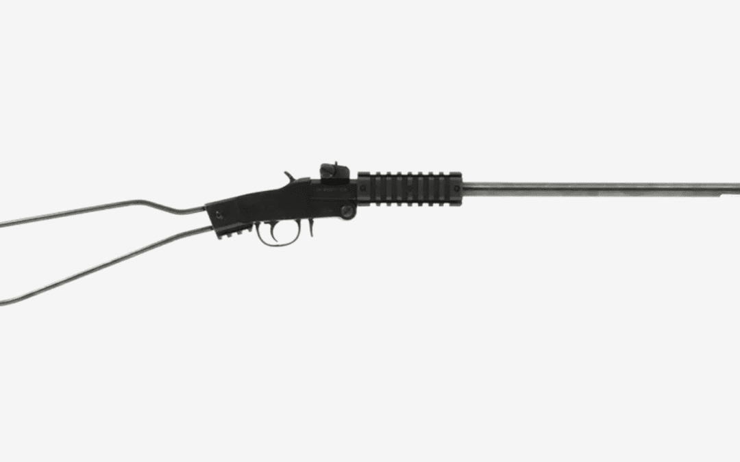 la carabine Chiappa Little Badger 22LR : tous les avis du web