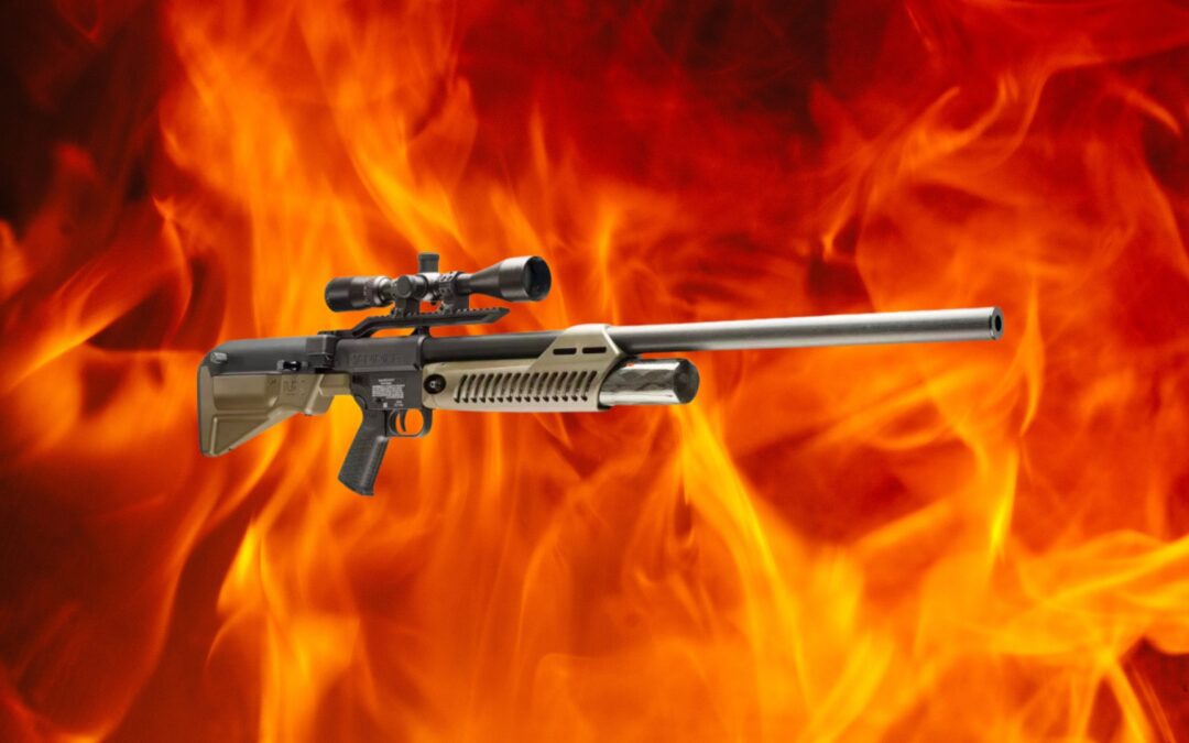 Carabine à plomb 1000 joules : portée, puissance réelle et modèles recommandés (2025)