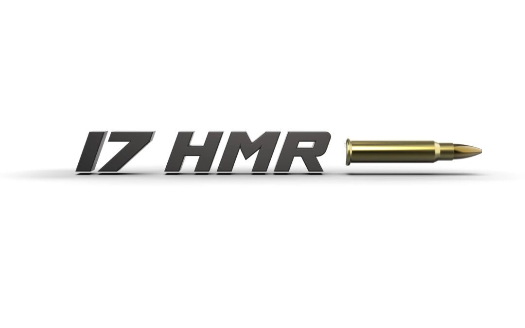 La carabine 17 HMR la plus puissante disponible en ligne (test et comparatif)