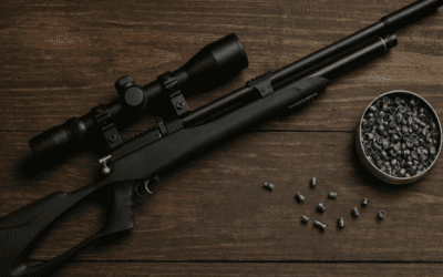 Top 6 des meilleures carabines à plomb 20 joules en 2026