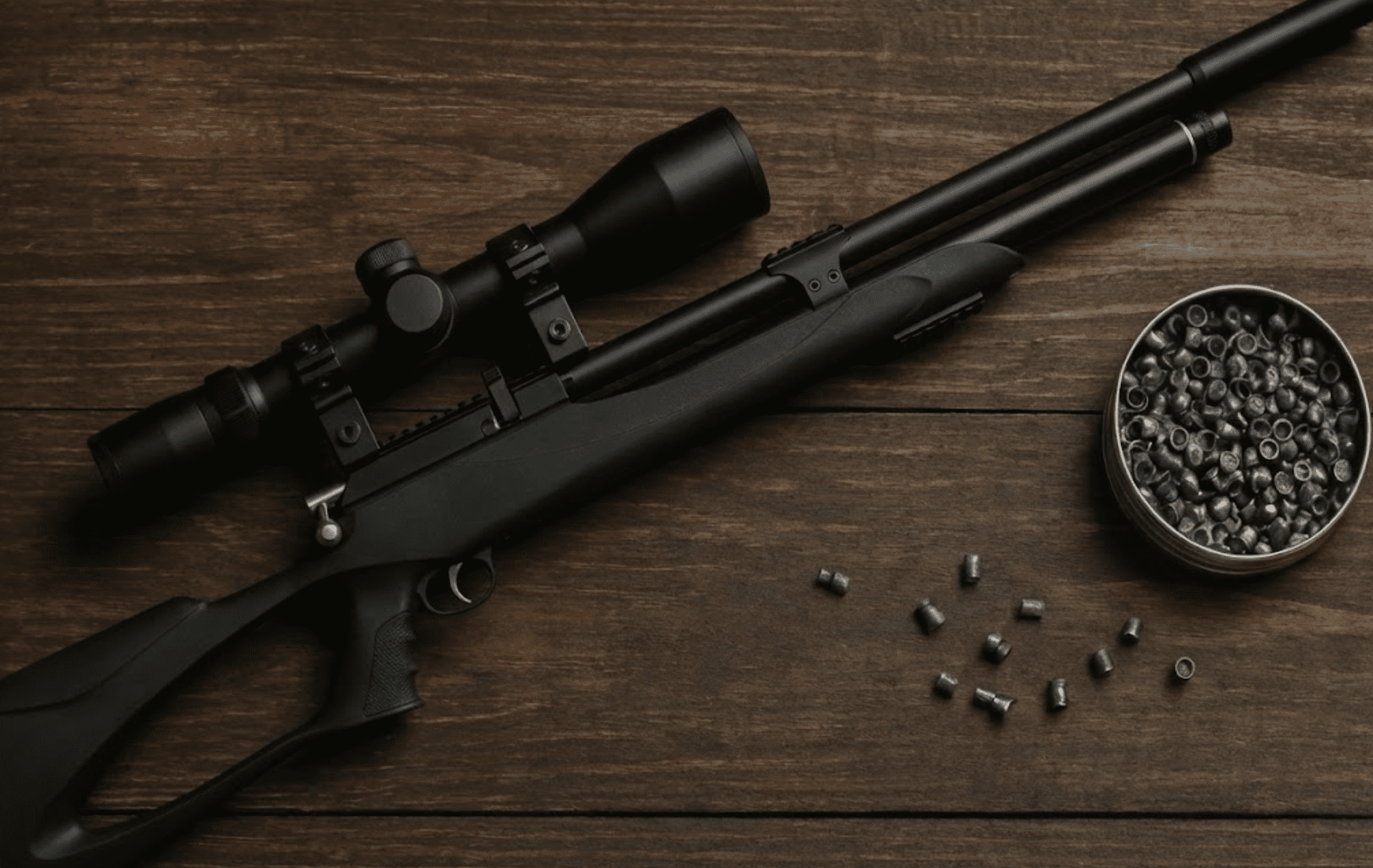 meilleure carabine a plomb 20 joules