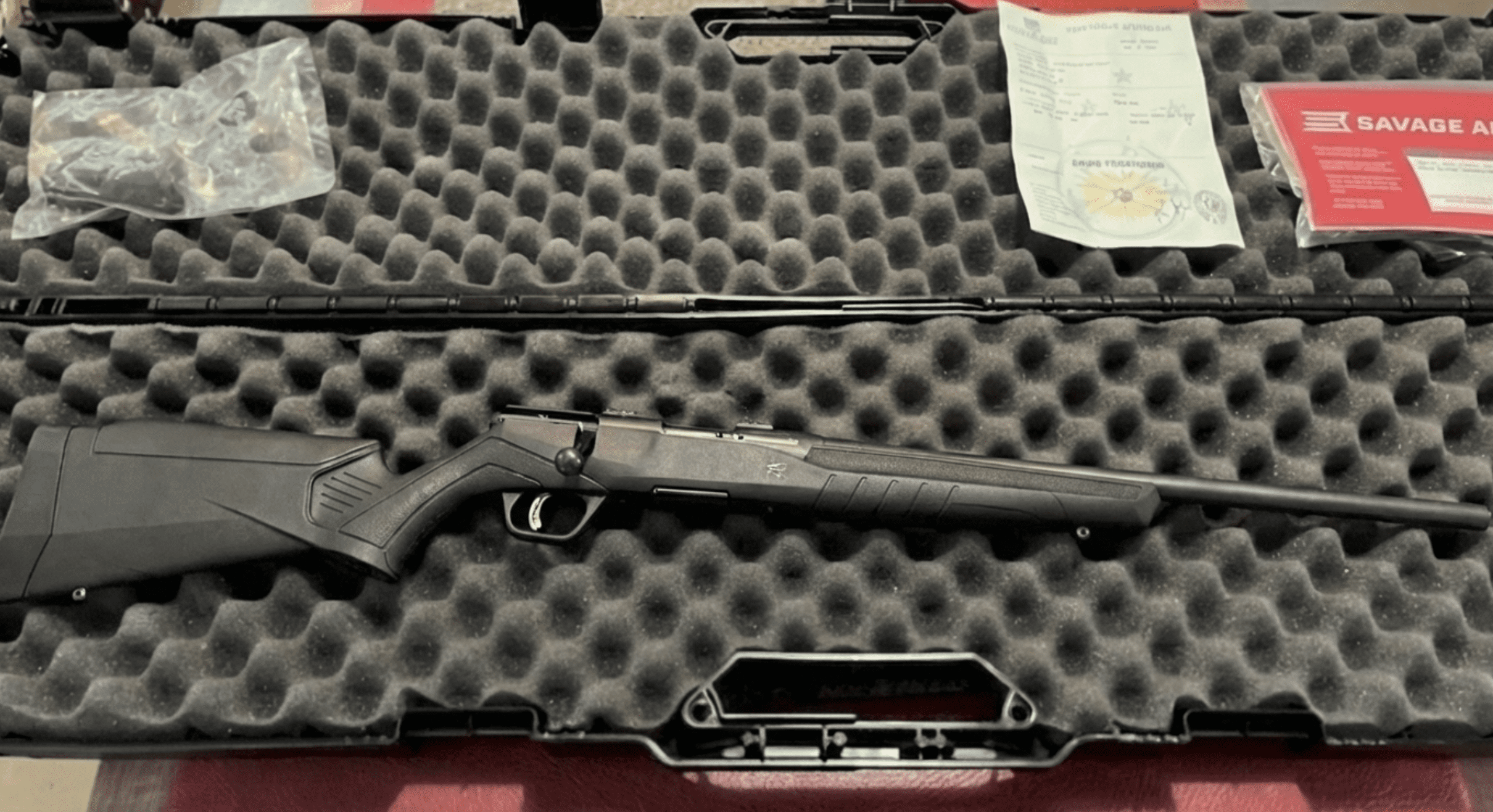 Test de la Savage B22 F au stand de tir