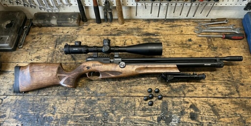 Reximex Daystar Avis : Test Complet et Comparatif des Meilleurs Prix