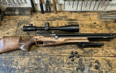 Reximex Daystar Avis : Test Complet et Comparatif des Meilleurs Prix