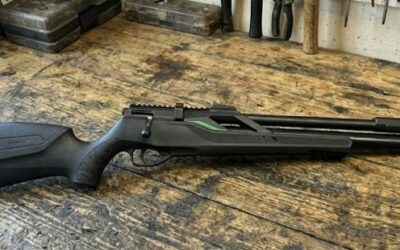 Snowpeak T-REX Avis : Test Complet et Comparatif des Meilleurs Prix