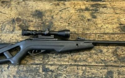 Gamo Whisper IGT Avis : Test Complet et Comparatif des Meilleurs Prix