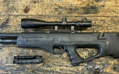 Reximex Zone AVIS : Test Complet et Comparatif des Meilleurs Prix