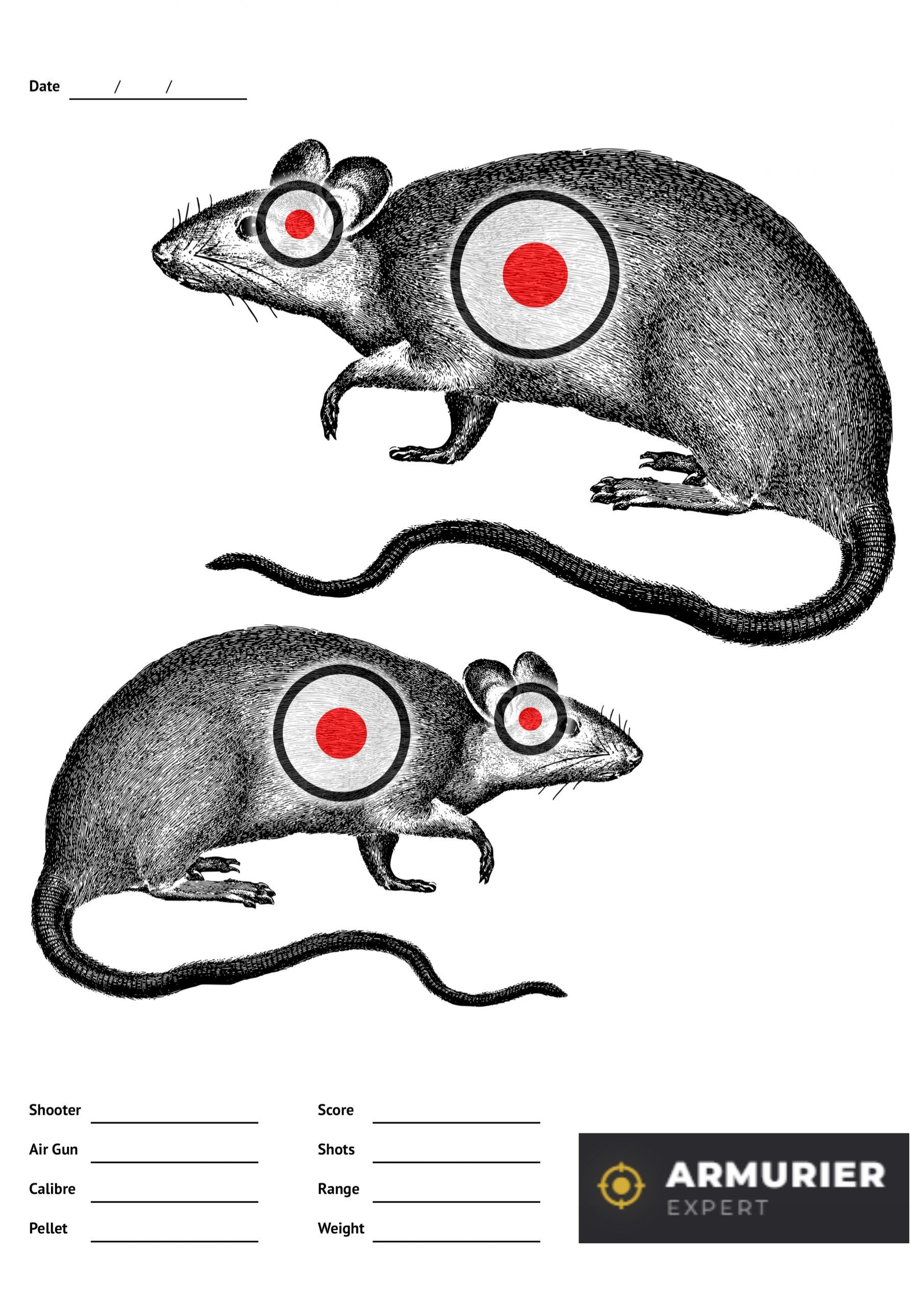 Cible de tir plinking diamant format A4 gratuite