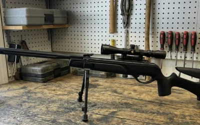 Gamo HPA IGT Avis : Test et Comparatif des Meilleurs Prix