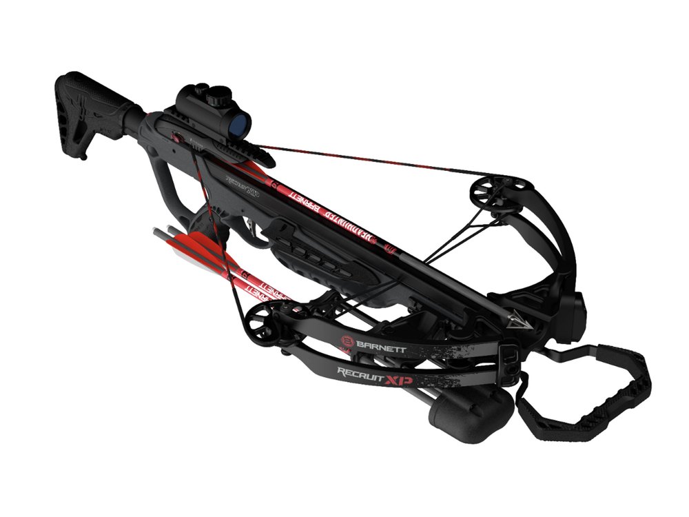 Arbalète Barnett Recruit XP compound 330 fps 125 lbs avec red dot