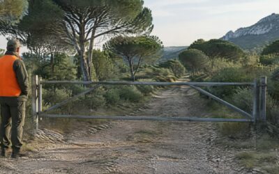 Après les incendies, la chasse fermée un an dans neuf communes du Var