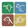 Logo de Le Chasseur De Migrateurs