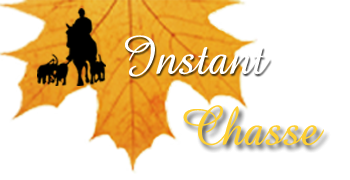Logo de Instant chasse