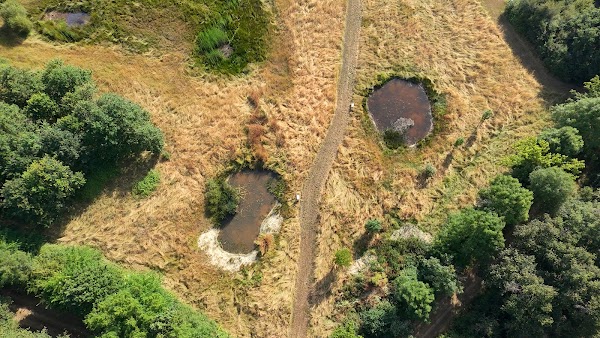 Photo armurerie Fédération Départementale des Chasseurs de Maine et Loire a Bouchemaine - 2