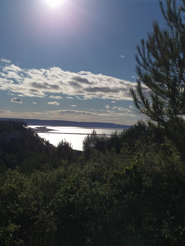 Photo armurerie Vitrolles Sport Tir a Vitrolles