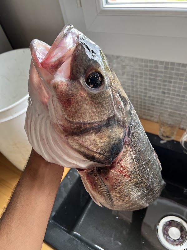 Photo armurerie Alré Pêche et Chasse Brest a Brest