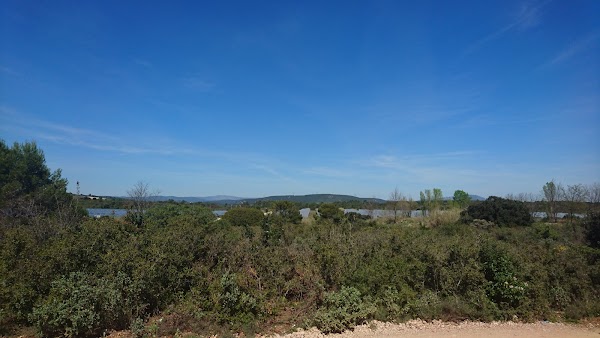 Photo armurerie Stand de Tir Occitan (S-T-Occ ) a Grabels - 3