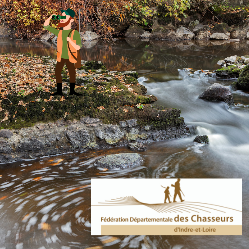 Photo armurerie Fédération Départementale des Chasseurs d&rsquo;Indre-et-Loire (FDC 37) a Tours