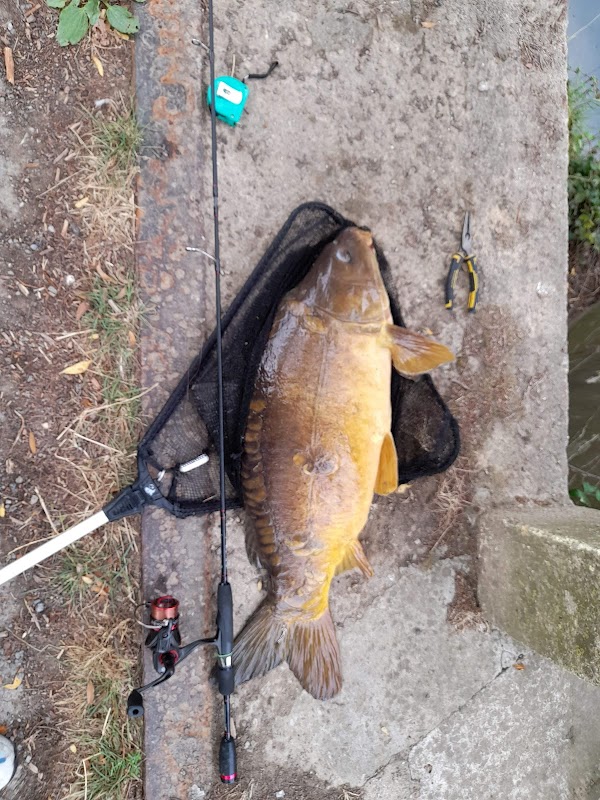 Photo armurerie Armurerie liegeois a Béthune - 2