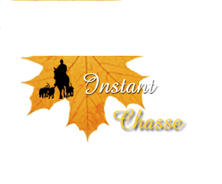 Photo armurerie Instant chasse a Rennes