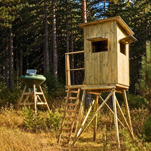 Photo armurerie ESPACE CHASSE a Schirrhein
