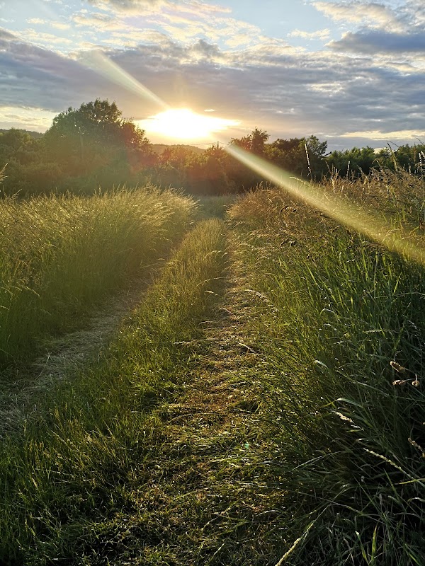 Photo armurerie Pro-Patria Sté de Tir a Malzéville